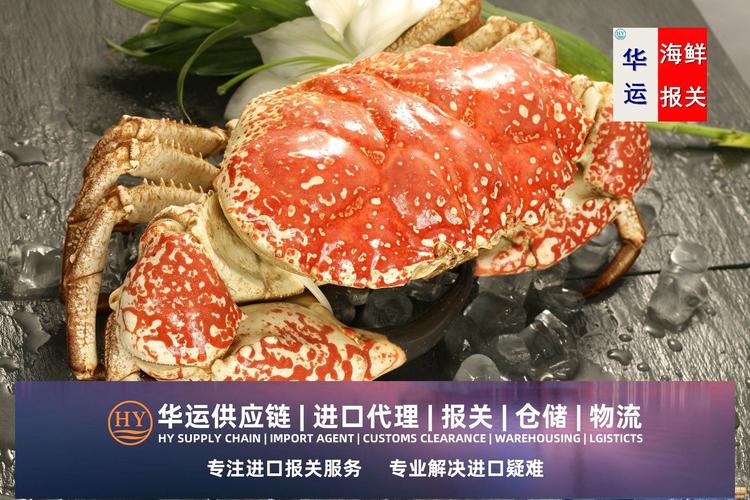 水产品报关公司及进口资质,水产品清关代理公司